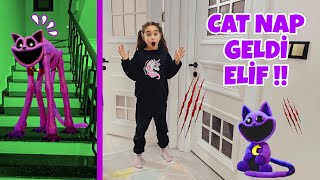 ELİF GECE EVİMİZE CATNAP GELDİ !! GİZLİCE GELDİ ELİF !! بابا جاب لي بالون - جنى مقداد | طيور بيبي