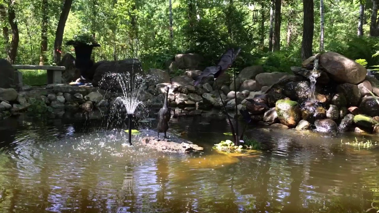 Backyard Pond - YouTube