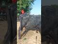 Aaj iske chakkar me der ho gai। Monu Khet vlog।#minivlog #khetvlog