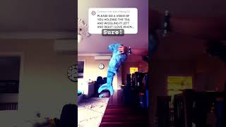 I’ve been getting some comments asking for this :D #furry #sharkfurry #sharktail #hypermotiontail