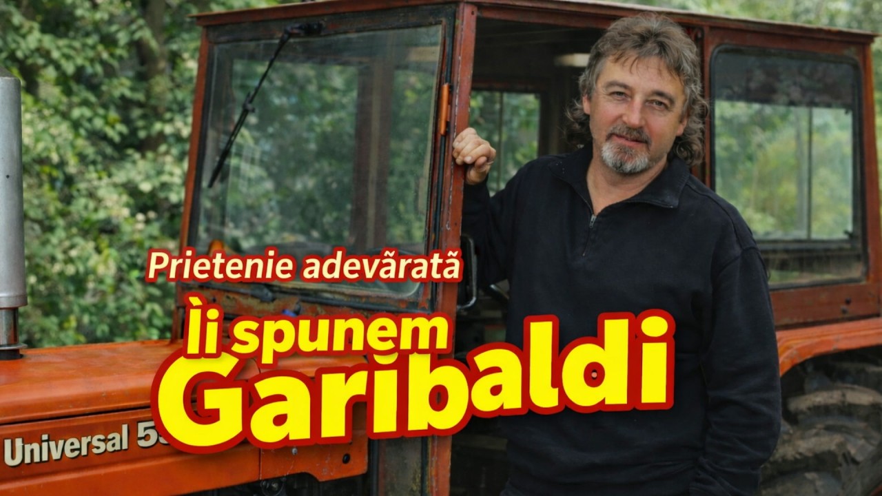 GARIBALDI – Prieten ca o Stâncă | Cântec de Dor & Prietenie (Official Audio)