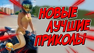 😂Я РЖАЛ ДО СЛЕЗ | ПРИКОЛЫ ЗА ФЕВРАЛЬ | FUNNY MOMENTS 2023 | 13 МИНУТ СМЕХА! | #385