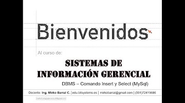 Sistemas de información gerencial - Sistemas de gestión de base de datos - Insert y Select(MySql)
