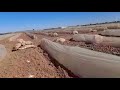 كنصايبو الطريق باش مطيرش الغبرة في الفلاحة