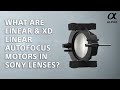 Alpha insights  what are linear  xd linear autofocus motors in sony lenses