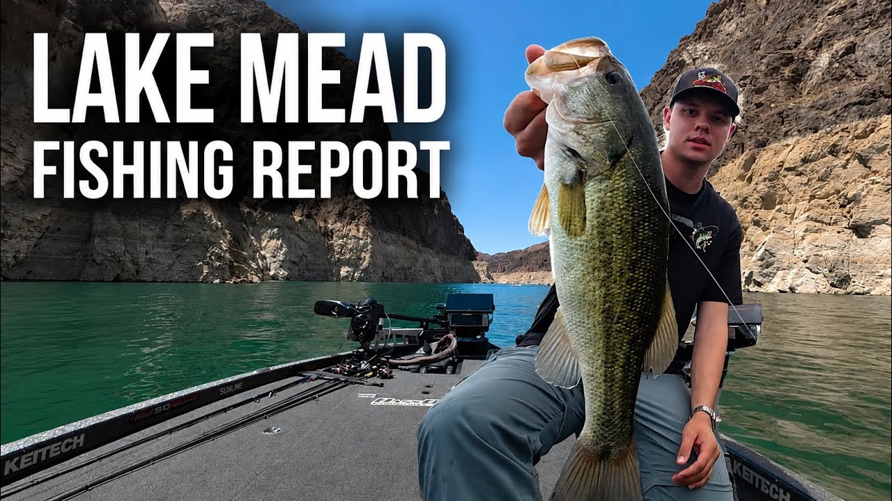 Lake Mead Fishing Report • Overcast = Bass!