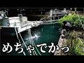 これは何の前兆？湾内で存在しないはずの奇怪な生物を掬った【堤防生活30日目】