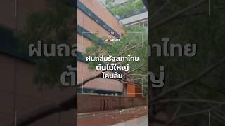 ในช่วงบ่ายที่อาคารรัฐสภาไทย พายุฝนซัดกระหน่ำ จนทำให้ต้นไม้โค่นล้มลง | News Moments