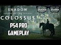 Shadow of the Colossus | PS4 Pro Gameplay 1080p 60FPS | Shotana Studios