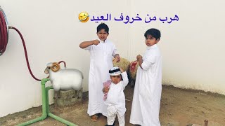 حمودي هرب من خروف العيد 