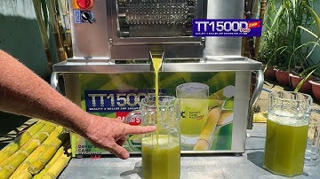 TT1500 Sugarcane Machine 2025 Model Demo | High Volume Serving Sugarcane Juicer Extractor