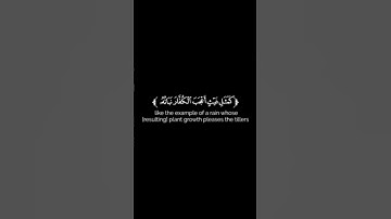 " سورة الحديد " من الآية 19 - 20 بصوت الشيخ ماهر المعيقلي .
