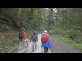 【4K】Tokyo hiking - Takao mountains