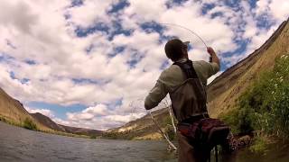 Fly Fishing Salmon Flies on the Lower Deschutes