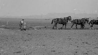 Watch Sons of the Soil Trailer