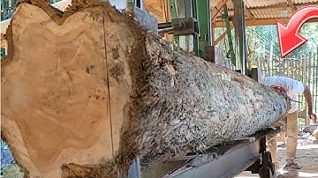 The scary and dangerous process of cutting beautiful teak wood for expensive house frames