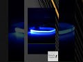 LED Rechargeable Dog Leash