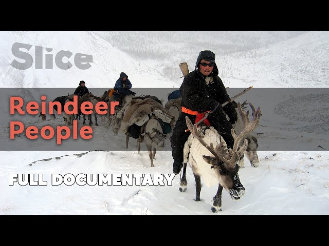 Reindeer People I SLICE I Full documentary class=