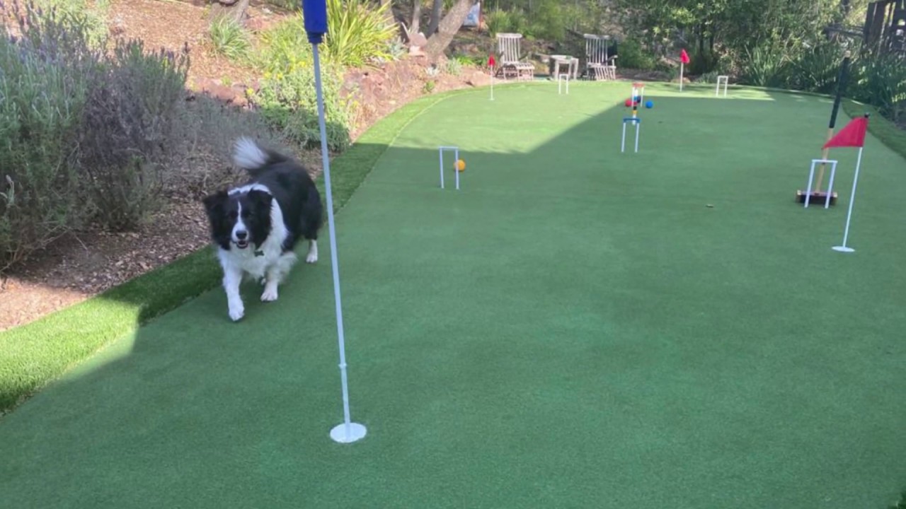 Artificial grass putting green and croquet field YouTube