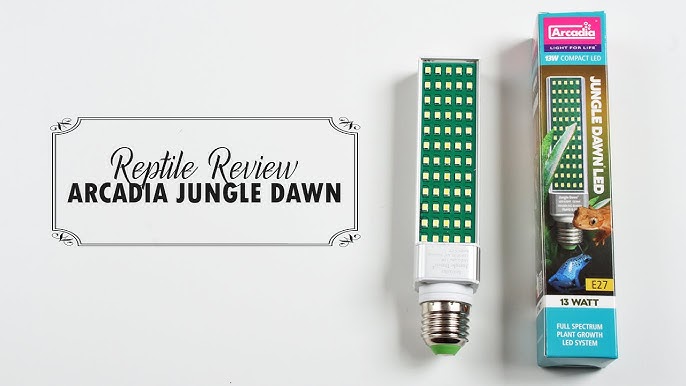 under håndflade venom Arcadia Jungle Dawn LED Review - Plant Growth Light for Reptiles Tanks! -  YouTube