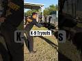 K-9 Tryouts Aren't For The Faint Of Heart