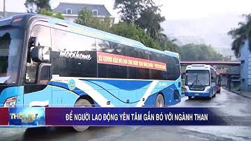 Để người lao động yên tâm gắn bó với ngành Than