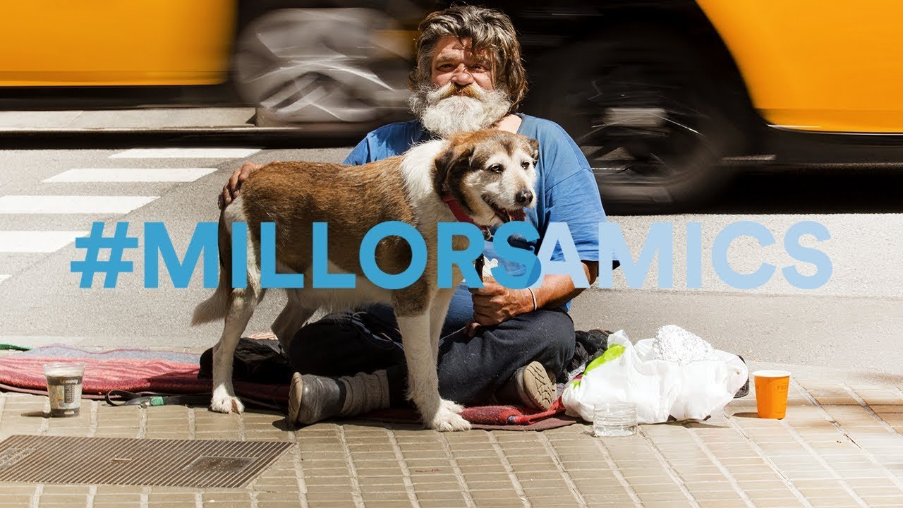 Los perros, el apoyo de personas sin hogar: "Cuando estoy deprimido me animan, no como gente que me ve llorar y hace como si nada"