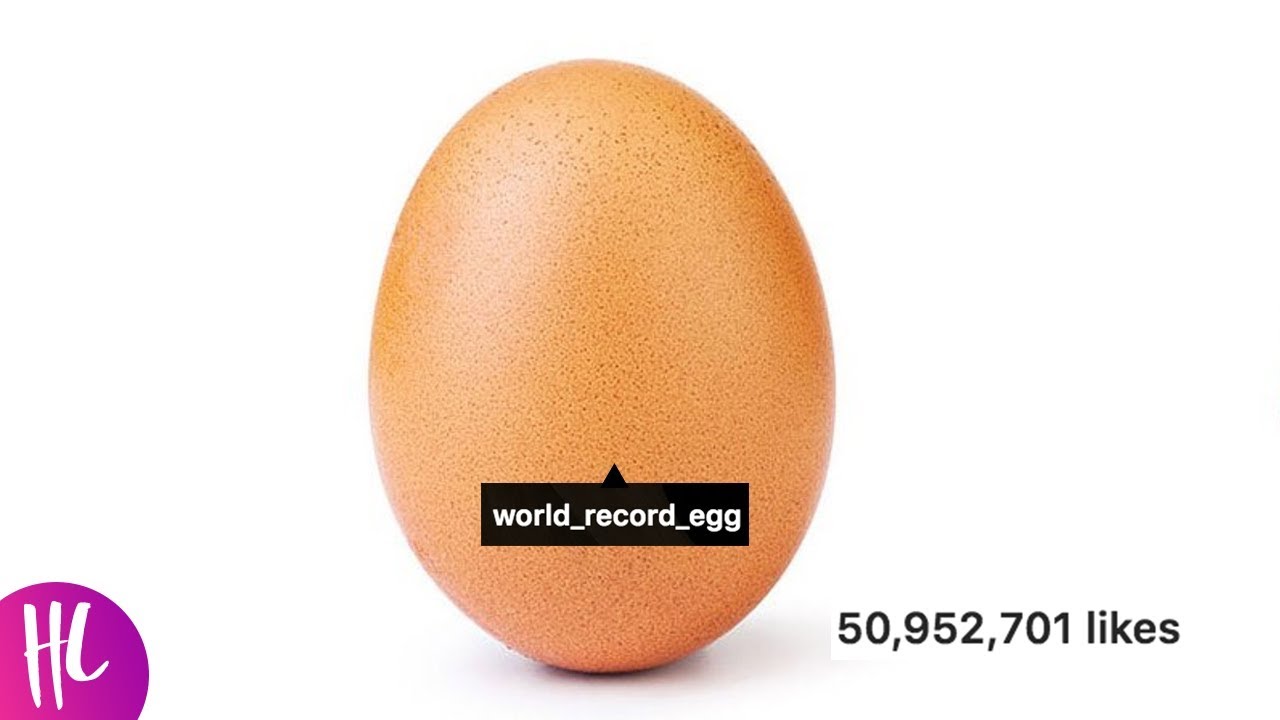 hulu login World Record Egg Creator Revealed & Reacts To Beating Kylie Jenner | Hollywoodlife
