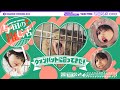 与田が推しウォンバットに会ってきた!【ユウキもウォンバットに】