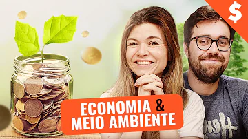 Como se dá a relação entre o meio ambiente e a economia?