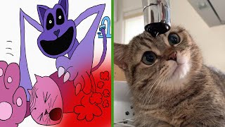 CatNap's Dark Origin Story Funny Cats and Art