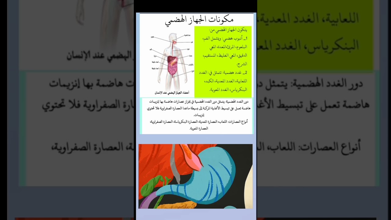 مكونات الجهاز الهضمي رابعة متوسط