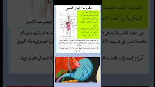 مكونات الجهاز الهضمي رابعة متوسط