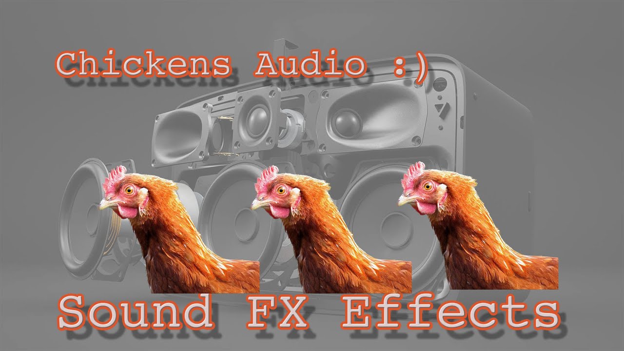 Chicken Sound in Coup. how does chicken sound YouTube