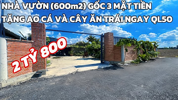 Nhà vườn ngay quốc lộ 50 (600m2) đường nhựa oto cây ăn trái và có ao cá rộng| Trường Sơn Bình Chánh