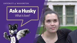 Ask a Husky: What is Love? Valentine's Day, 2019