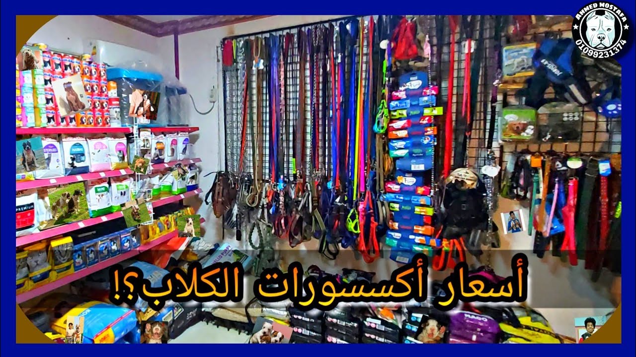 أسعار اكسسورات الكلاب فى محلات الحيوانات