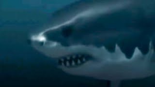 Megalodons Caught On Camera & Spotted In Real Life!