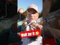The FUNNIEST Fail In Fishing