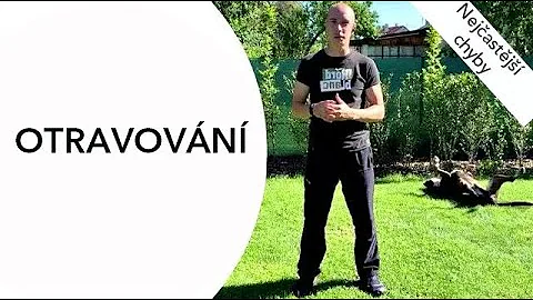 Co je toxické pro psa?