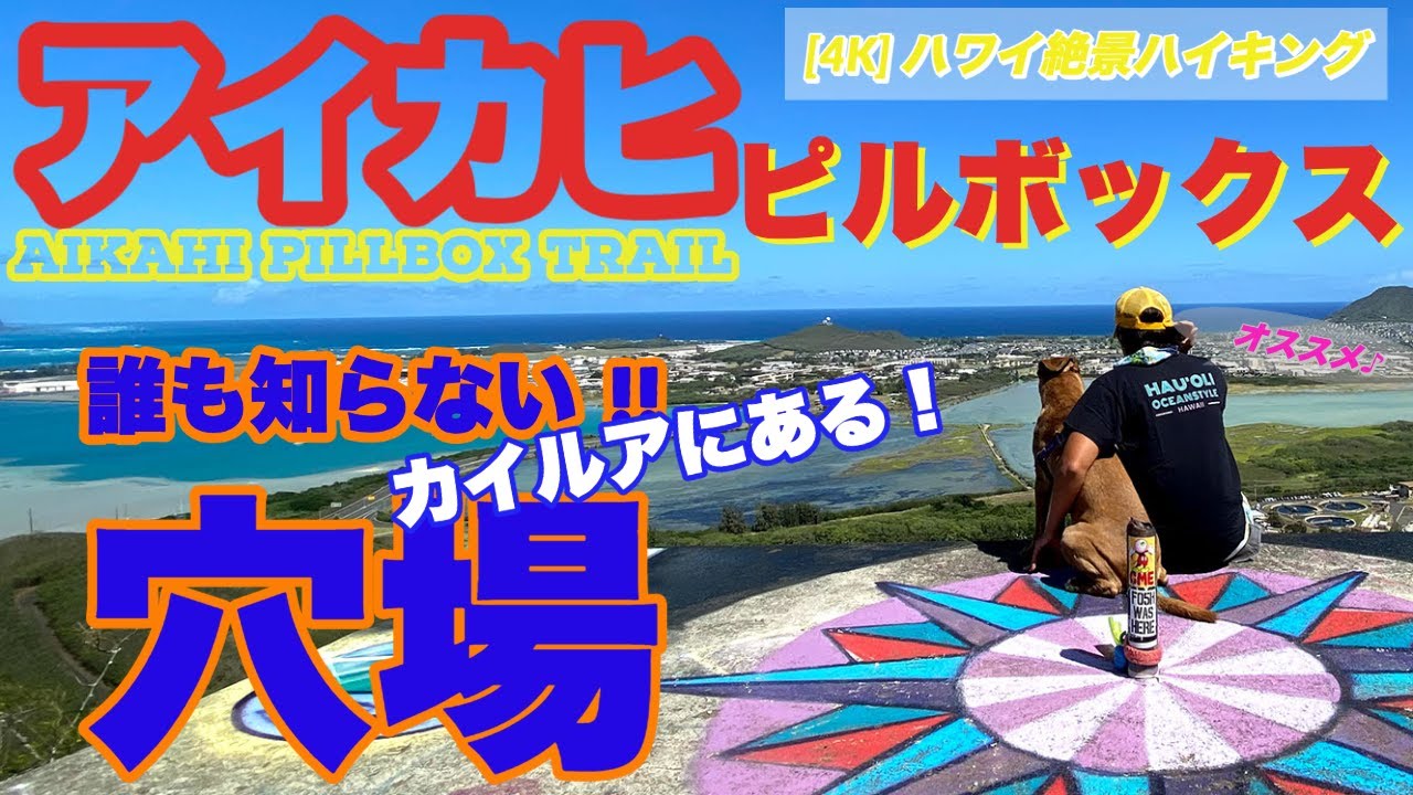 ヌウアヌの森にあるウォールアート インディアン アート 保護犬ピットブル ハウのハワイお散歩vlog 4k Hidden Murals Indian Graffiti Arts Oahu Youtube