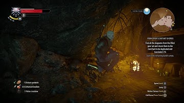 The Witcher 3: Goofy walk bug