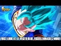 FIRST LOOK AT LF VEGITO BLUE, SPARKING FUSED ZAMASU & MORE!!! Dragon Ball Legends Info!