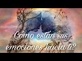 ❤ Como están sus emociones hacia ti?... Almas Gemelas/Persona Especial y/o Ex...❤