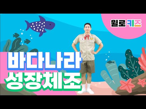 [윌로키즈] 율동 체조 | 비만 예방 키 쑥쑥 | 바다나라 성장체조 | 키즈운동 Exercise for Kids