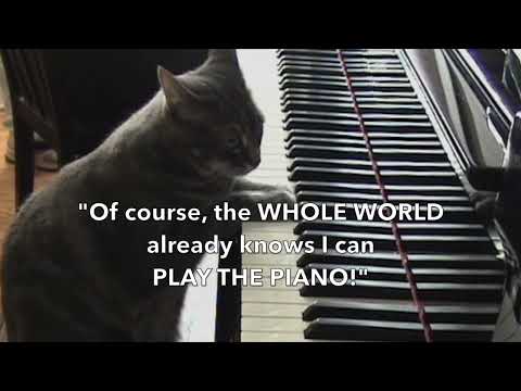Nora The Piano Cat Starring in an Upcoming Web Series - Teaser