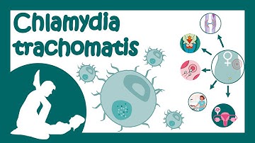 Chlamydia trachomatis | Chlamydial infection | Sexually transmitted disease | Treatment of Chlamydia