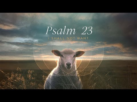 Following the Shepherd