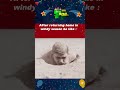 windy season current situation #karur #windyseason #funny #comedy