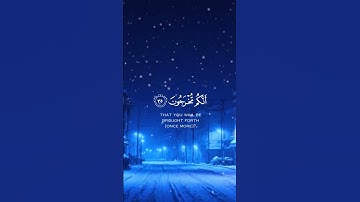 مقتطفات من سورة المؤمنون بصوت القارئ ياسر الدوسري